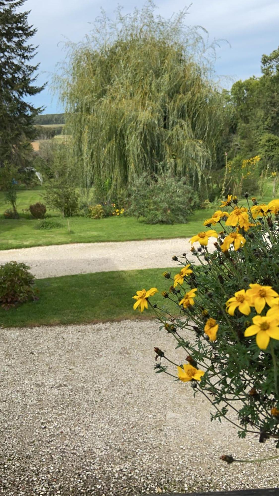 Pivoine Chambre D Hotes Fralignes Exterior photo