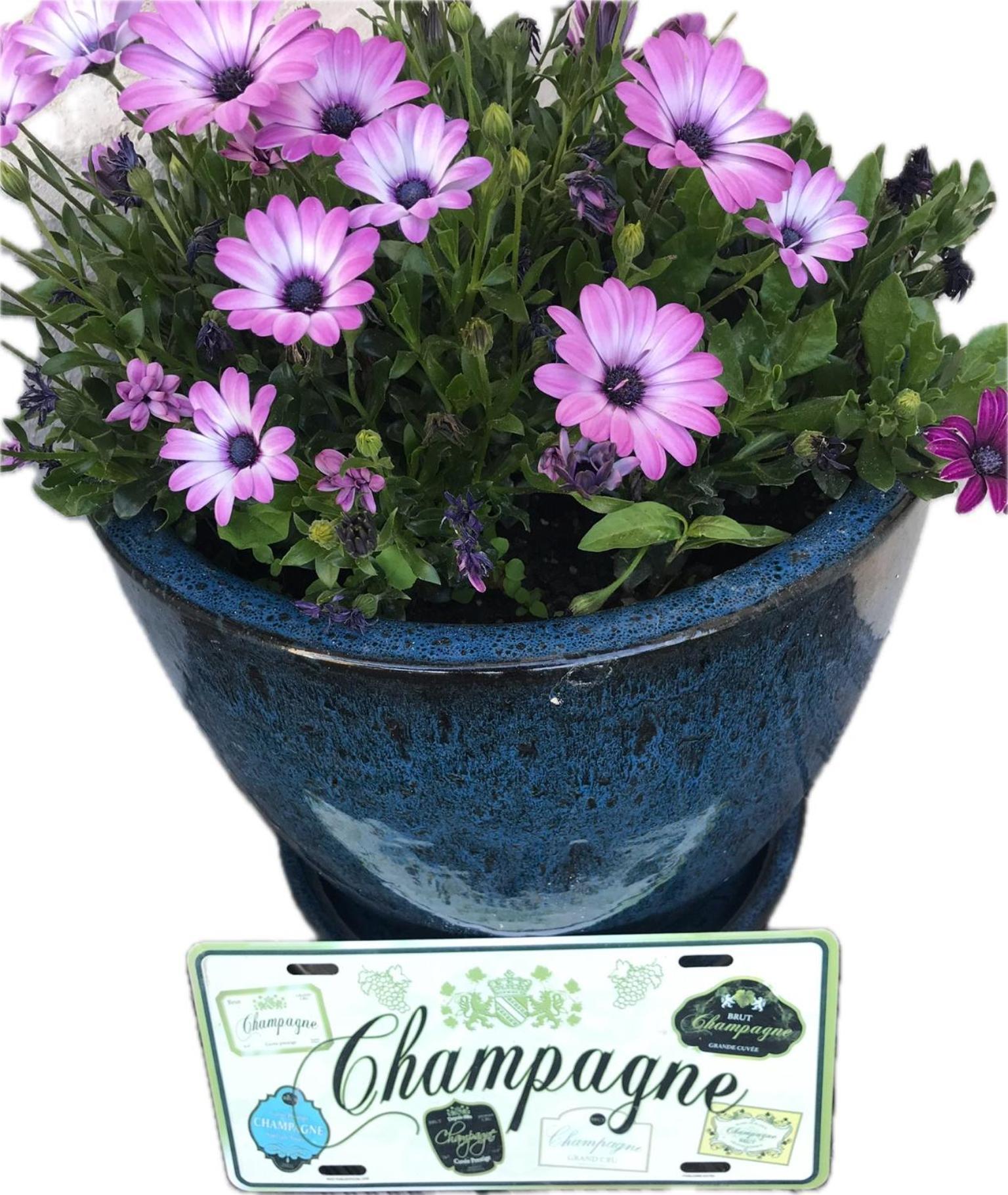 Pivoine Chambre D Hotes Fralignes Exterior photo